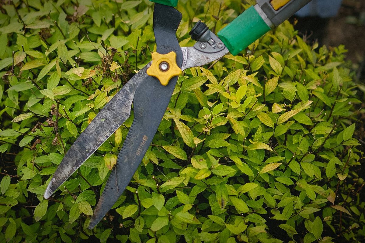 La Trottola Champorcher Manutenzione Aree Verdi