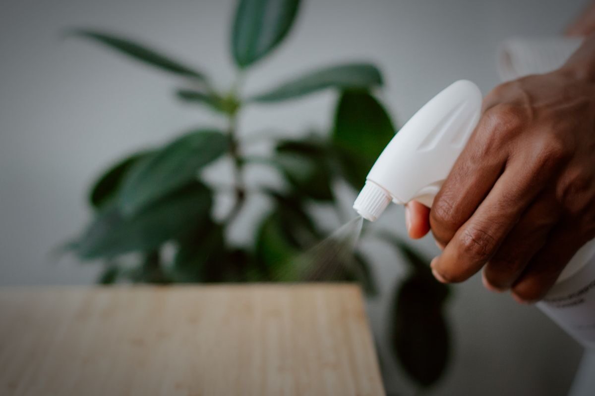 La Trottola Champorcher Servizio Pulizie